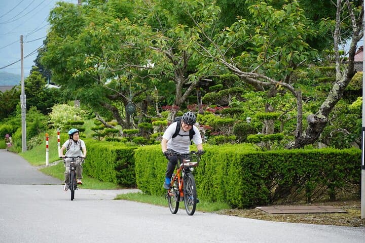 All Must-Sees Tono Private Tour with Government-Licensed Guide — photo 15