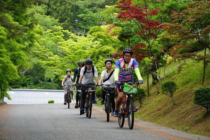 All Must-Sees Tono Private Tour with Government-Licensed Guide — photo 17