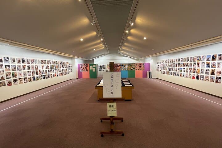 Ticket to Imai Museum with Mizuhiki and Cat Dog Photo Exhibition — photo 4