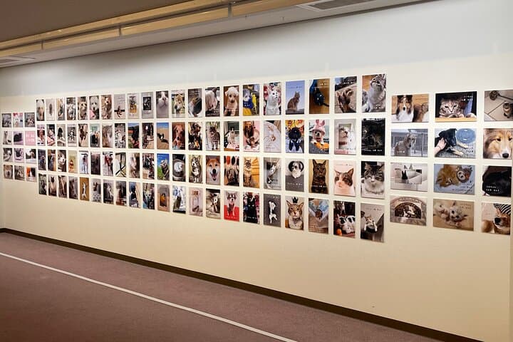 Ticket to Imai Museum with Mizuhiki and Cat Dog Photo Exhibition — photo 5