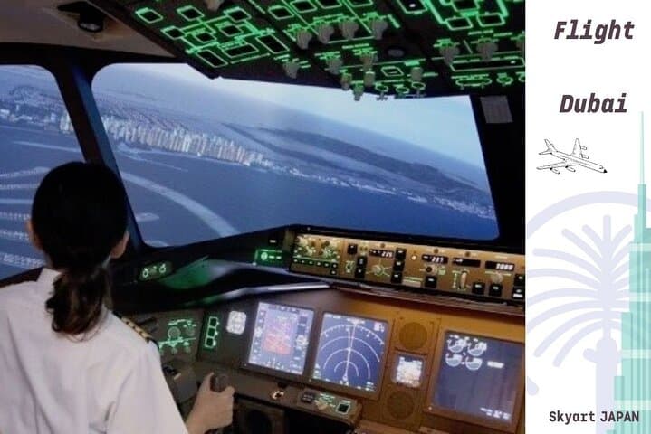 Flight simulation in the real cockpit 70 minutes of real experience!Plane lovers must see — photo 9