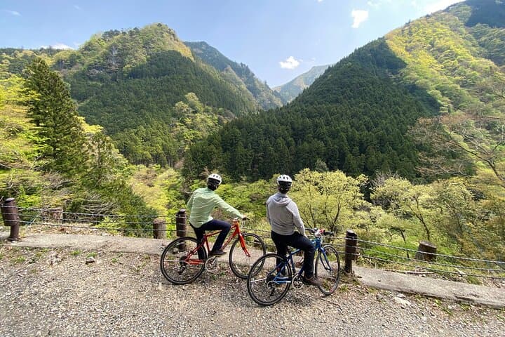 Tokyo's hidden nature cycling tour - Okutama Historical Road Tour — photo 4
