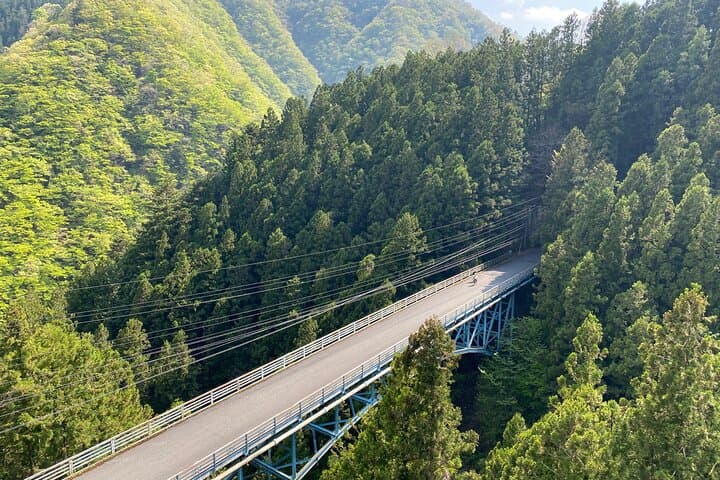 Tokyo's hidden nature cycling tour - Okutama Historical Road Tour — photo 5