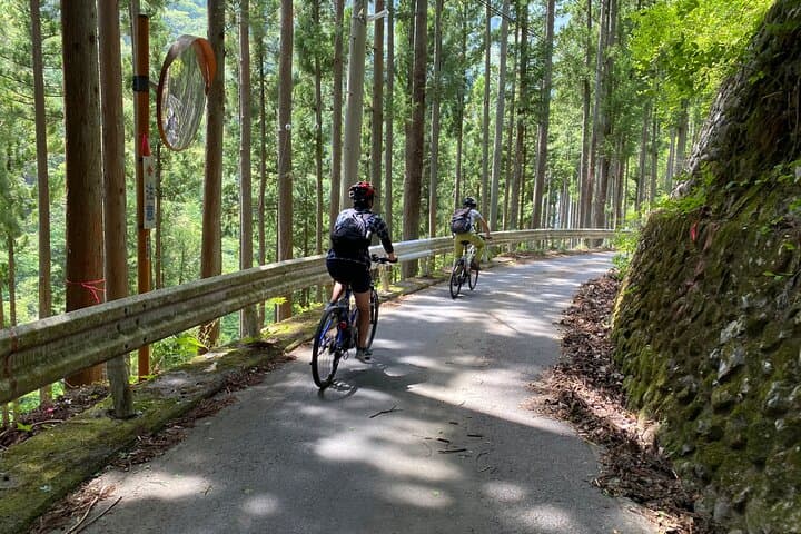 Tokyo's hidden nature cycling tour - Okutama Historical Road Tour — photo 6
