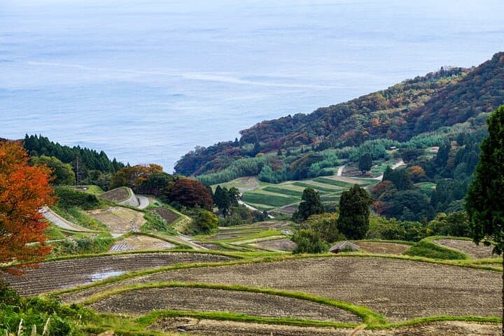 Sado Island Tour with Licensed Guide and Vehicle (Niigata Dep.) — photo 12