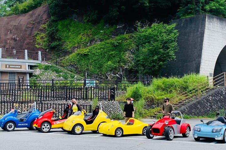 Cute & Fun E-Car tour following guide around Lake Kawaguchiko — photo 8