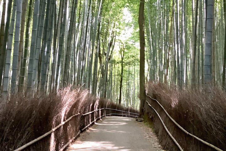 Personalized Half-day Tour in Kyoto for your family and friends. — photo 10