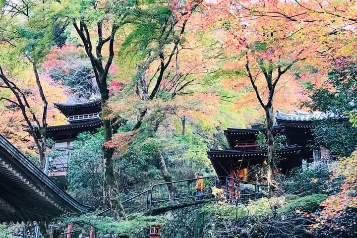 Private Walking Tour in Bamboo Forest & Hidden Spots in Arashiyama — photo 2