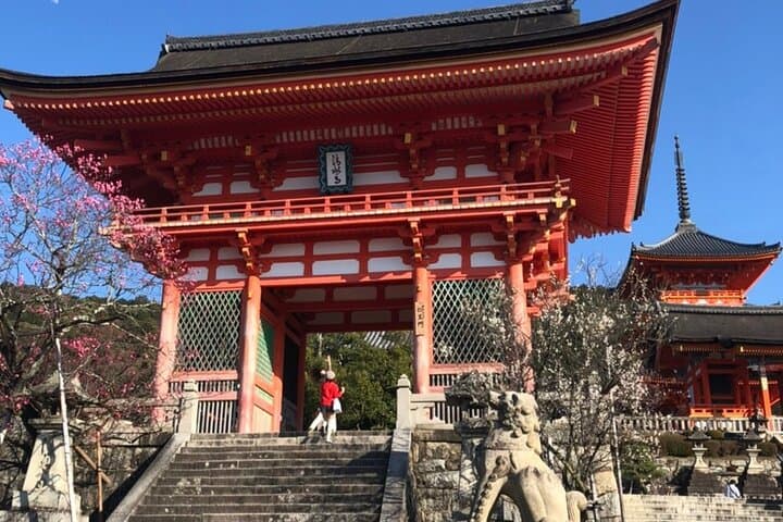 Kyoto 6h Private Tour Fushimi Inari, Kiyomizu, Gion & Hidden Gems — photo 5