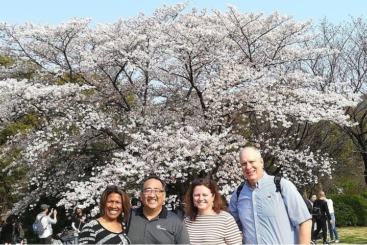 Cherry Blossom Highlights, Hamarikyu, Asakusa and Meiji Shrine — photo 7