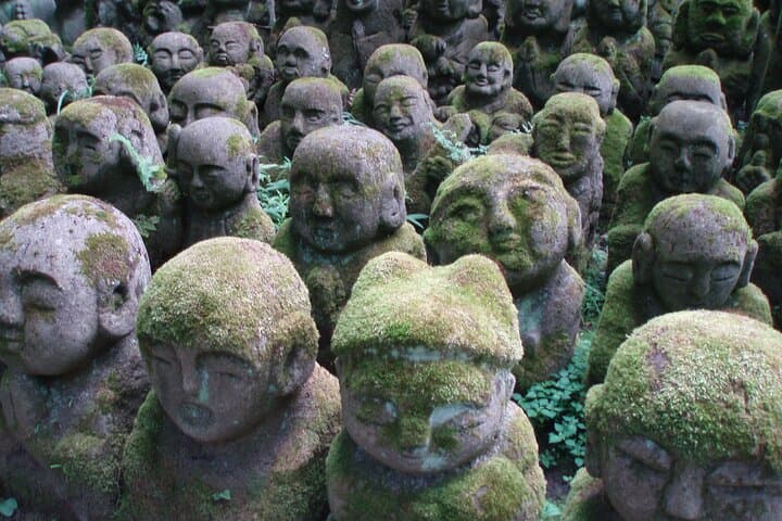 Private Walking Tour in Bamboo Forest & Hidden Spots in Arashiyama — photo 6