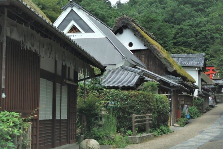 Private Walking Tour in Bamboo Forest & Hidden Spots in Arashiyama — photo 11