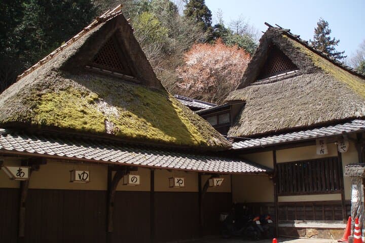 Private Walking Tour in Bamboo Forest & Hidden Spots in Arashiyama — photo 13