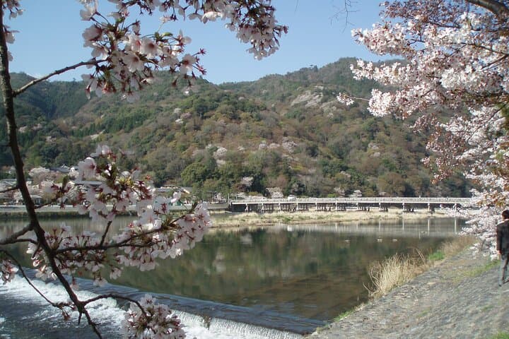 Private Walking Tour in Bamboo Forest & Hidden Spots in Arashiyama — photo 4