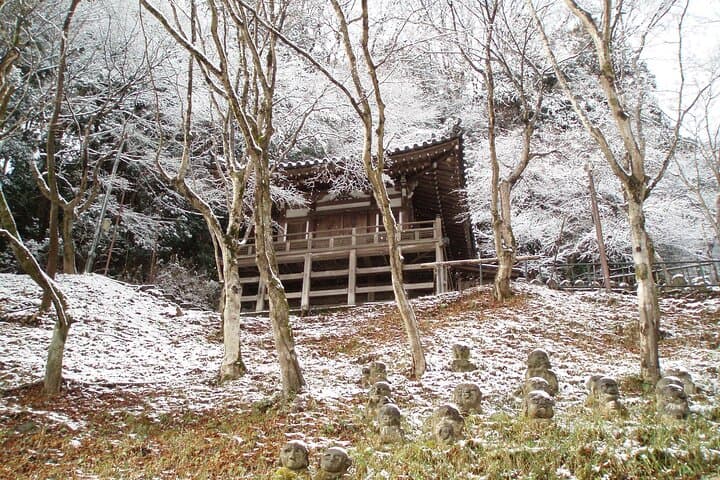 Private Walking Tour in Bamboo Forest & Hidden Spots in Arashiyama — photo 15