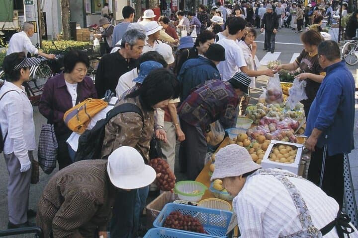 Morioka Full-Day Private Tour with Government-Licensed Guide — photo 3