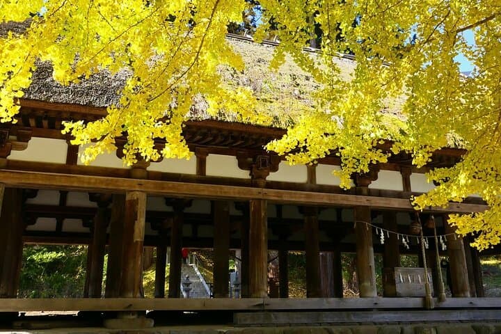 Kitakata Full-Day Private Tour with Government-Licensed Guide — photo 10