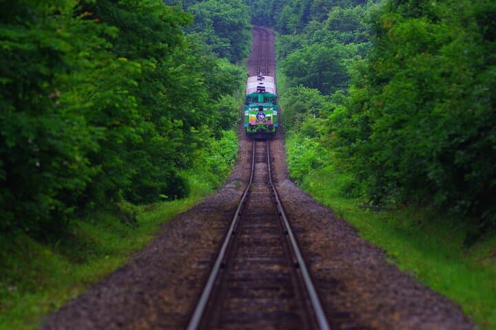Furano Biei Tour Sapporo DEP: English Speaking Driver, No Guide — photo 8