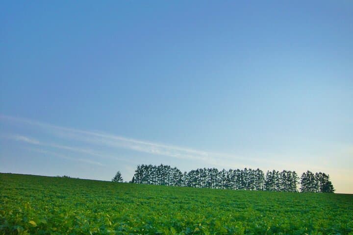 Furano Biei Tour Sapporo DEP: English Speaking Driver, No Guide — photo 7