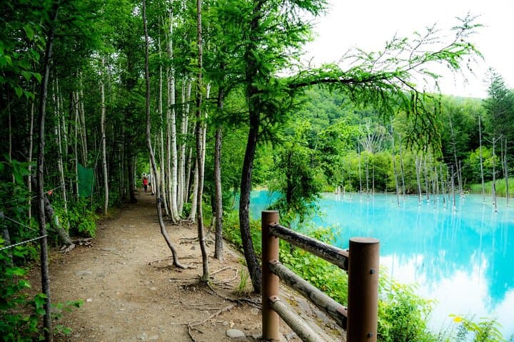Furano Biei Tour Sapporo DEP: English Speaking Driver, No Guide — photo 3
