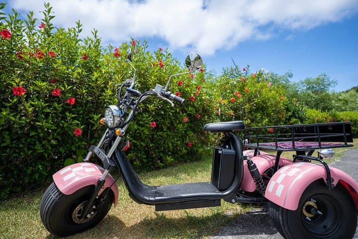 2h Electric Trike Rental in Okinawa Ishigaki — photo 3