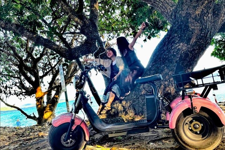 2h Electric Trike Rental in Okinawa Ishigaki — photo 13