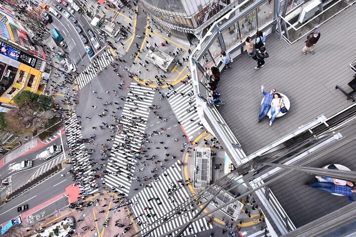 Tokyo Private Driver-Guided Tour — photo 19