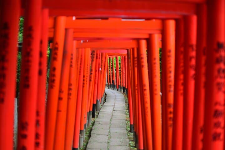 Professionally guided Tokyo Private Walking Tour — photo 2