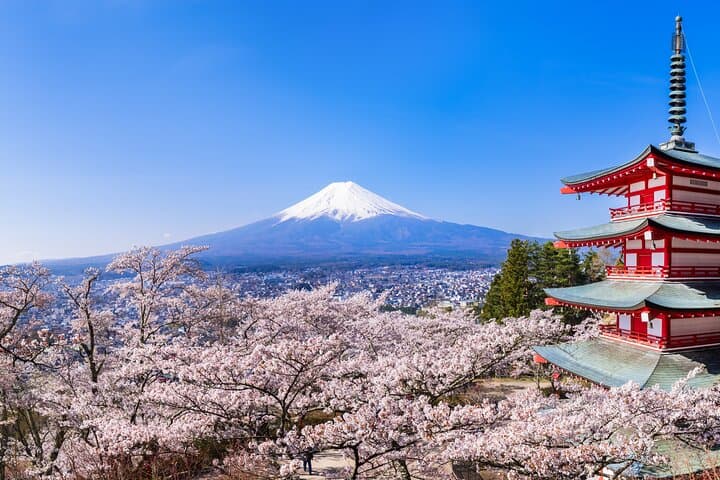 Mt.Fuji and Hakone Tour by Private Vehicle — photo 4