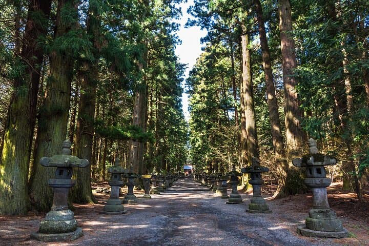 Mt.Fuji and Hakone Tour by Private Vehicle — photo 8