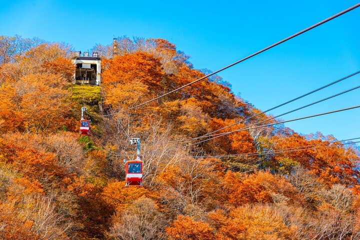 Explore the Culture and History of Nikko by Private Vehicle — photo 5