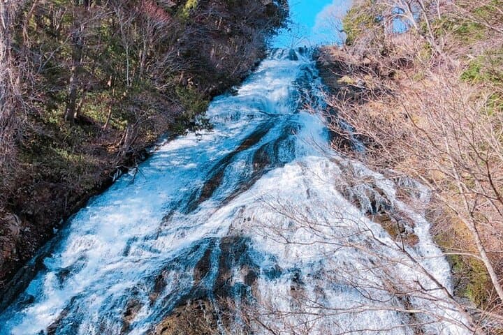 Explore the Culture and History of Nikko by Private Vehicle — photo 16