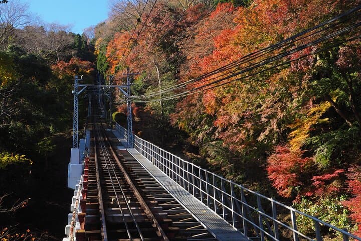 Mt.TAKAO Trekking 1 Day Tour by Private Vehicle — photo 7