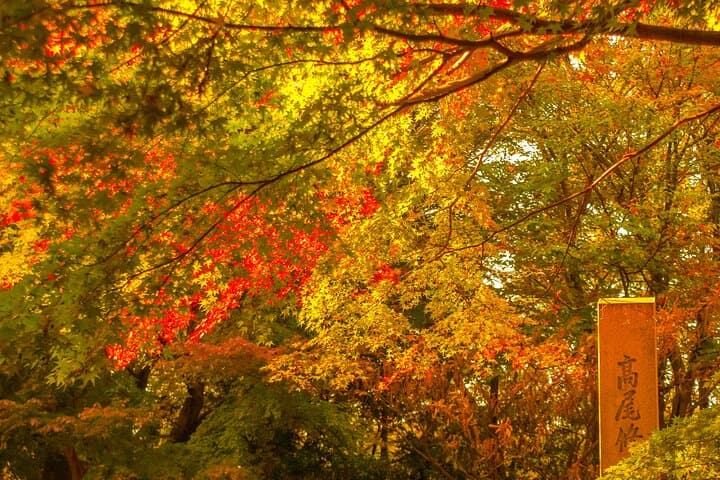 Mt.TAKAO Trekking 1 Day Tour by Private Vehicle — photo 8