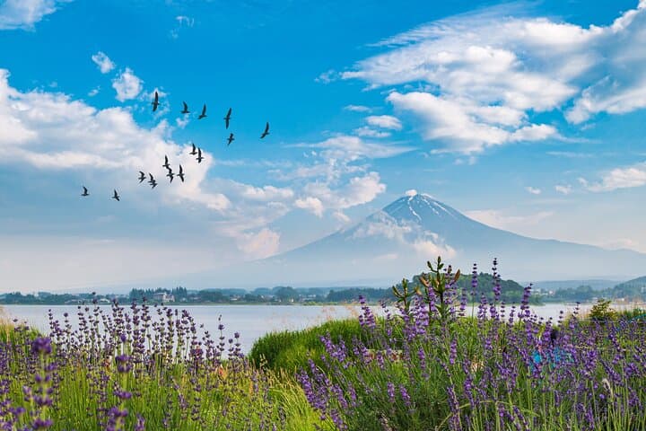 Mt. Fuji’s Fifth Station & Lake Kawaguchiko Cycling Tour — photo 5