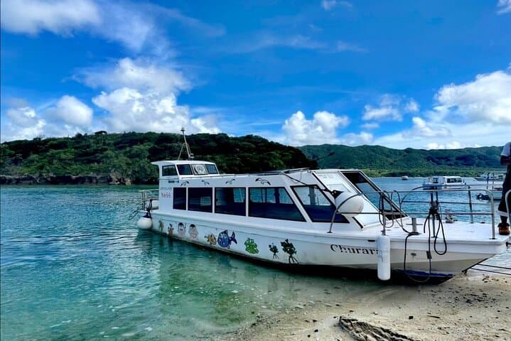 Kabira Bay Guided Tour by Electric Trike in Ishigaki Island, Okinawa — photo 3