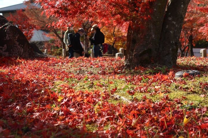Kyoto Walking Tour: Buddhism, Art and Gardens — photo 13