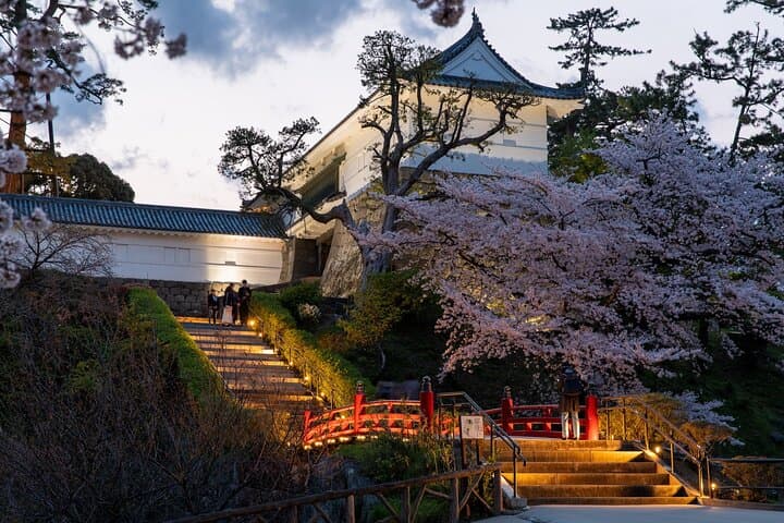 Odawara Castle and Town Guided Discovery Tour — photo 9