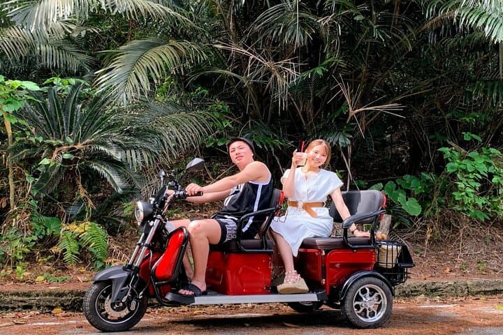 2h 3-seater electric trike rental (Ishigaki, Okinawa) — photo 5
