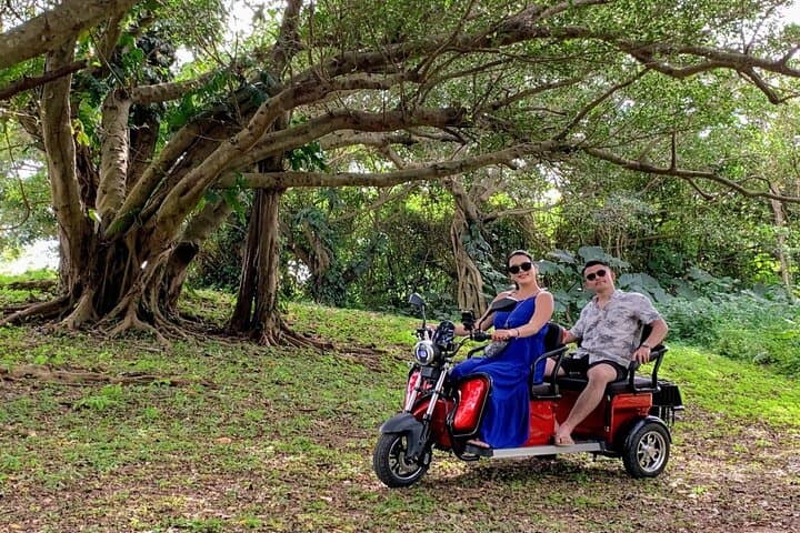 2h 3-seater electric trike rental (Ishigaki, Okinawa)