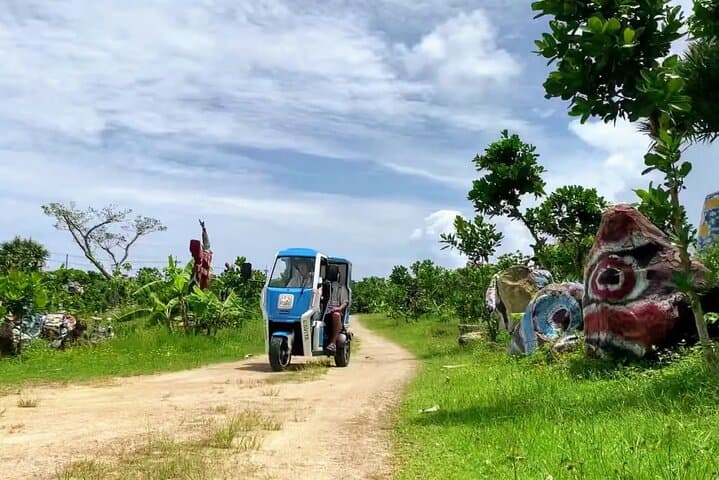 2h 3-seater electric trike rental (Ishigaki, Okinawa) — photo 7