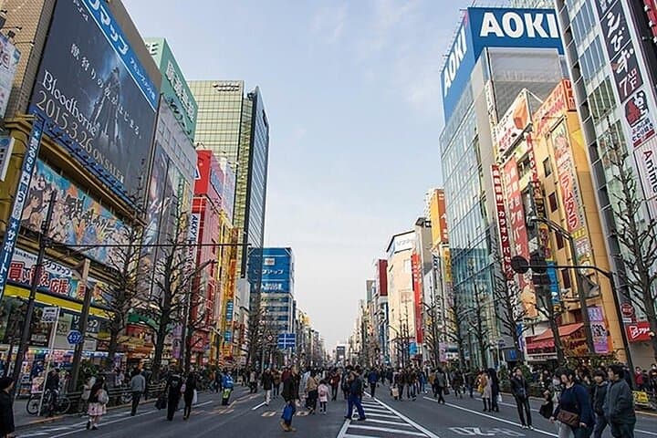 Crazy about Anime! Private Full Day Tokyo Manga Anime Tour by Chartered Vehicle — photo 16