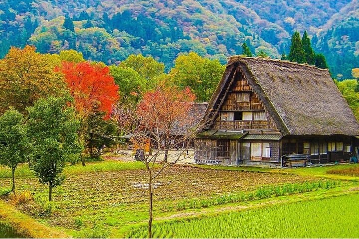 【Private Tour】Shirakawa-go & Takayama 1-day tour from Nagoya — photo 3