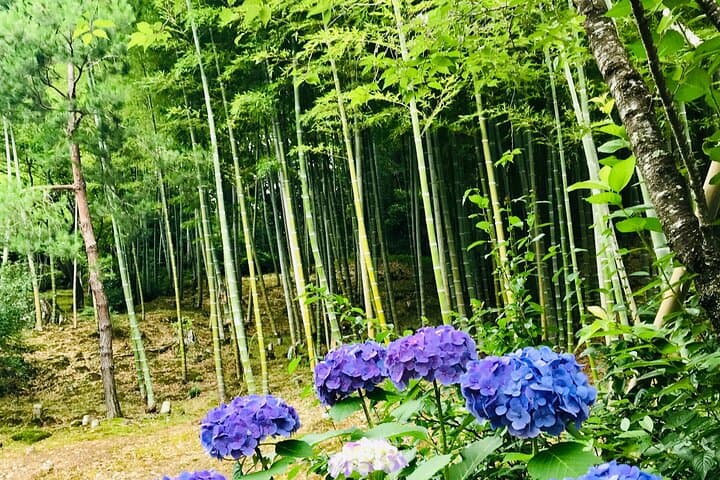 Bamboo LED Lantern Making Experience in Kyoto Arashiyama — photo 9