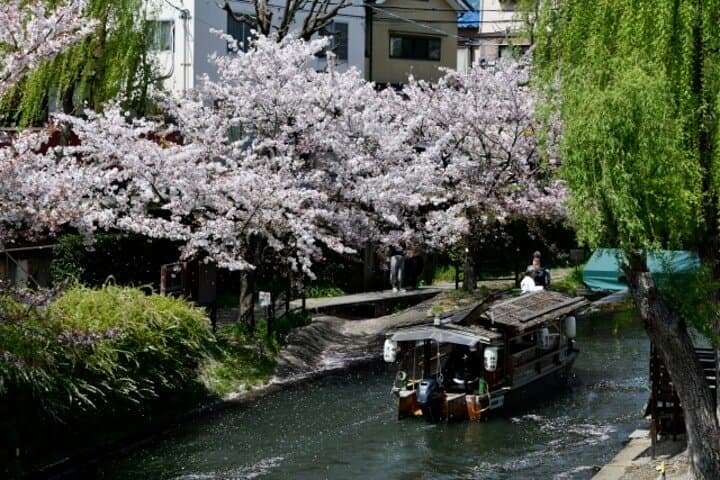 Kyoto Sake Tasting and Cruise Half Day Tour — photo 3