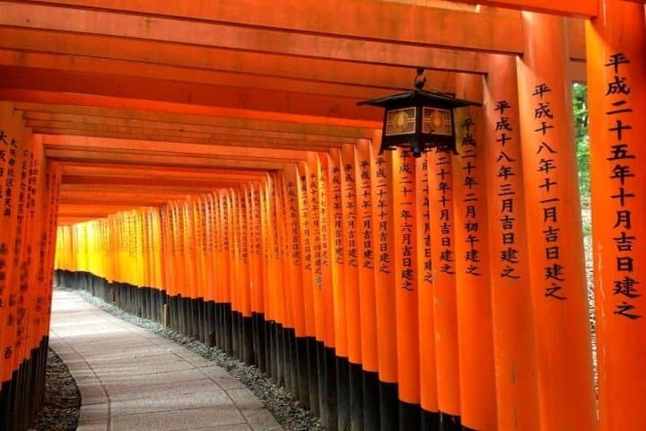 Kyoto 1 Day Golden Route Bus Tour — photo 9