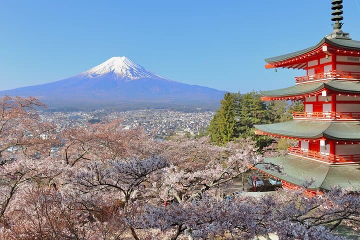 Full Day Tour to Mount Fuji in Spanish — photo 2