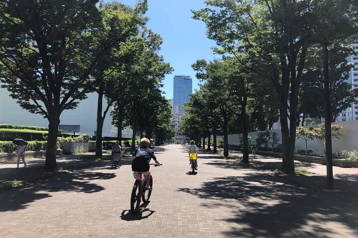 3-Hr Tokyo Bike Tour: Shibuya Highlights, Backstreets/Hidden Gems — photo 9