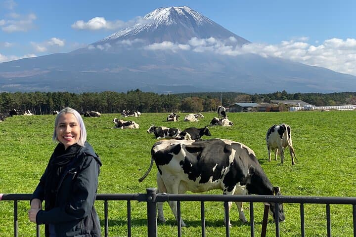 Full Day Tour to Mount Fuji in Spanish — photo 11