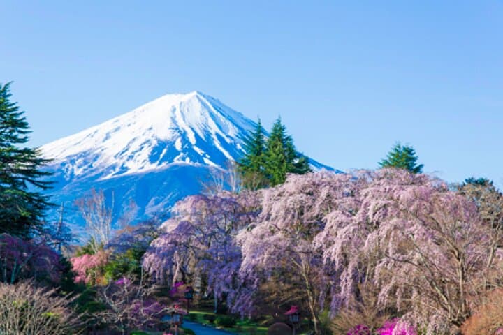 Mt. Fuji’s Fifth Station & Lake Kawaguchiko Cycling Tour — photo 8